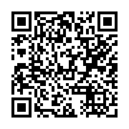 QR code for SQG919