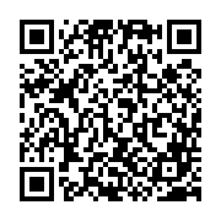 QR code for SSI546