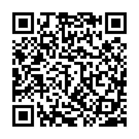QR code for SSX599