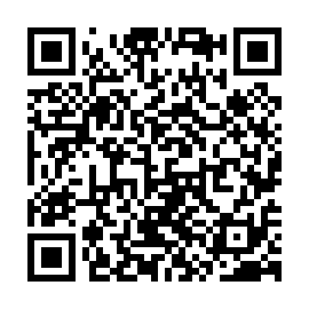 QR code for SVN011