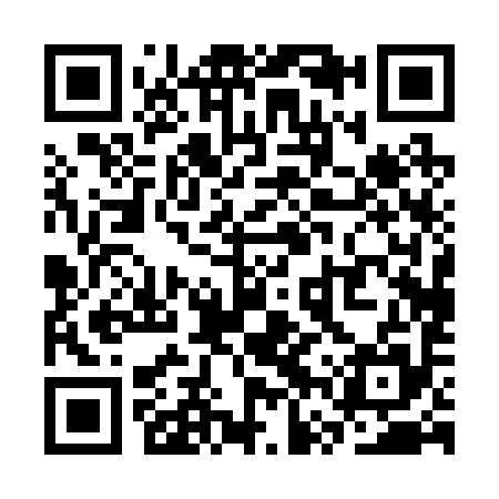 QR code for SVP295