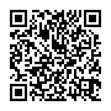 QR code for SWF221
