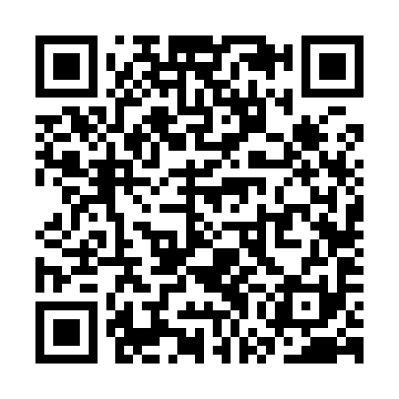 QR code for SWF991