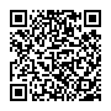 QR code for SWG638
