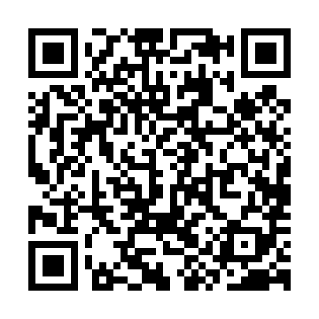 QR code for SYP489