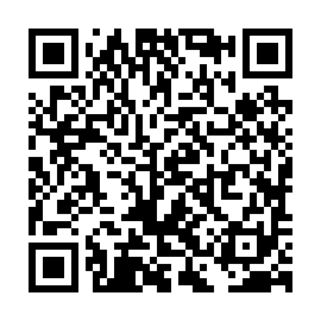 QR code for TCZ291