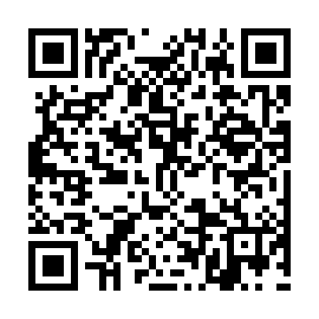 QR code for TDF386