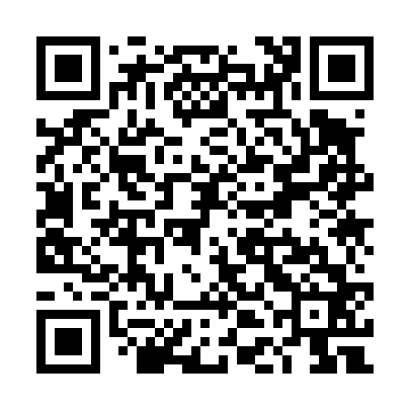 QR code for TDK462