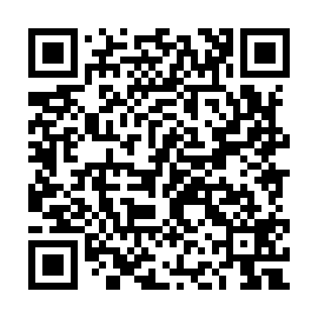 QR code for TFX919