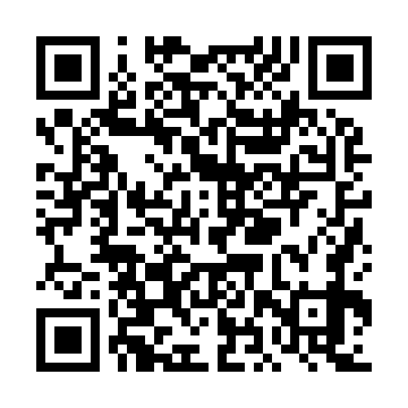 QR code for THZ979