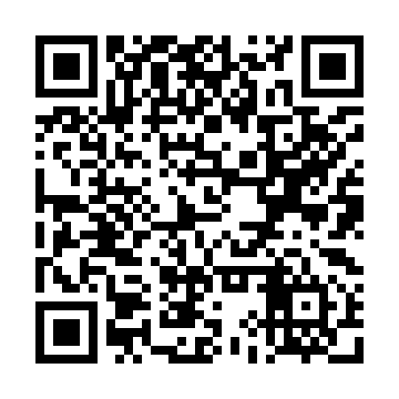QR code for TIZ994