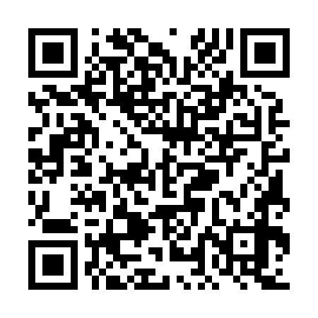 QR code for TLE878
