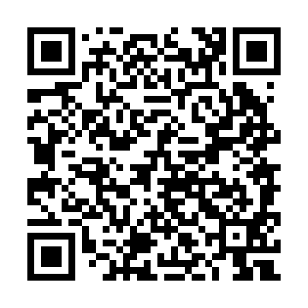QR code for TLN291