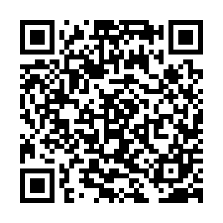 QR code for TLV307
