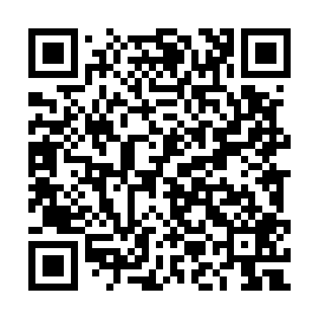 QR code for TML509