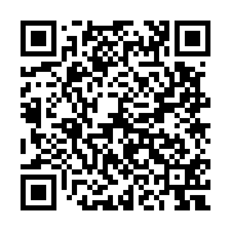 QR code for TOK511