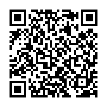 QR code for TON413