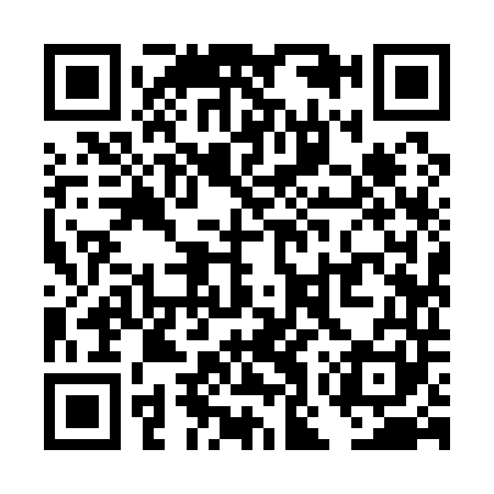QR code for TOY141