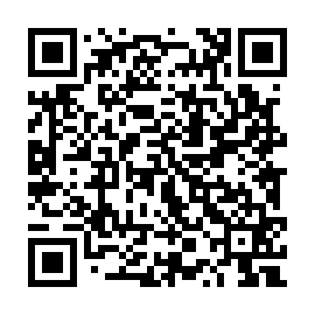 QR code for TPL161
