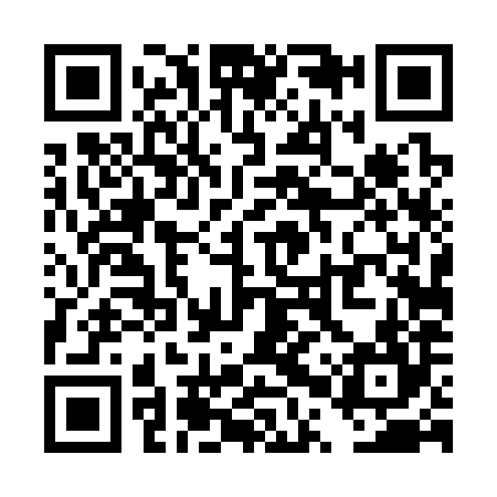 QR code for TPT384