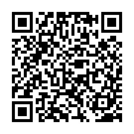 QR code for TWS541