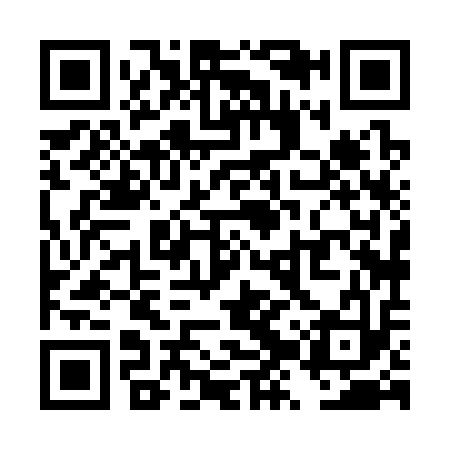 QR code for TZX313