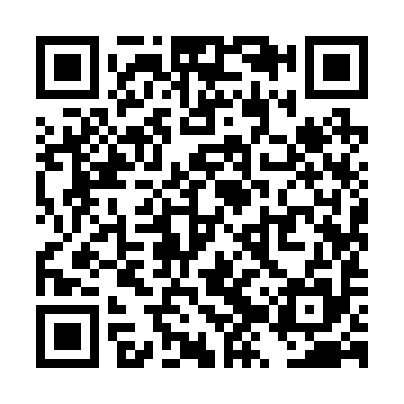 QR code for TZY295