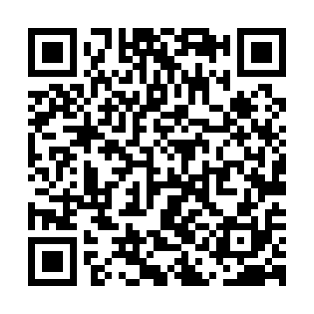 QR code for UAL110