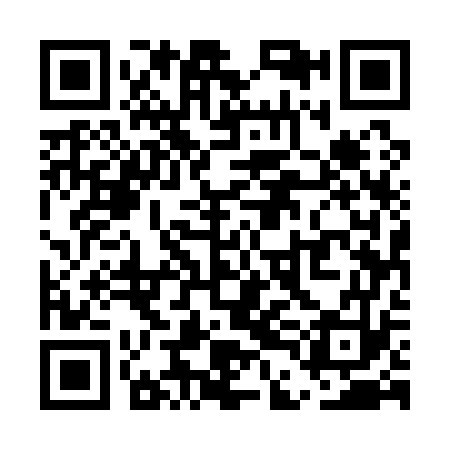 QR code for UDE173