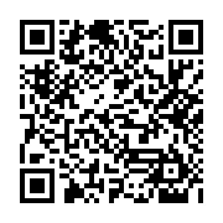 QR code for UDG595