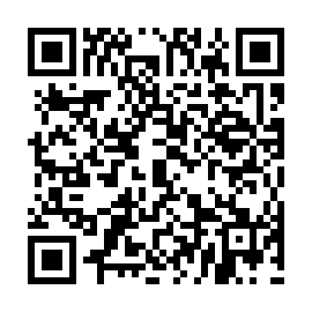 QR code for UDM141