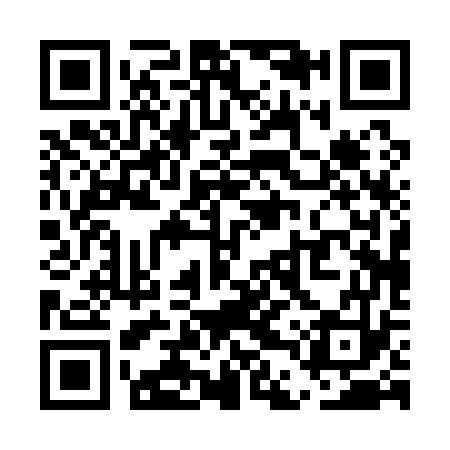 QR code for UDP173