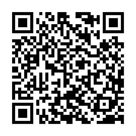 QR code for UDP249