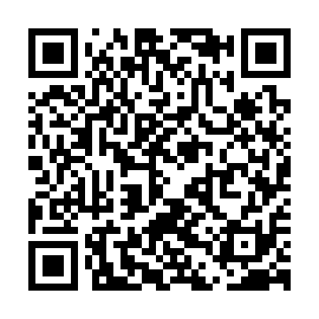 QR code for UDW311