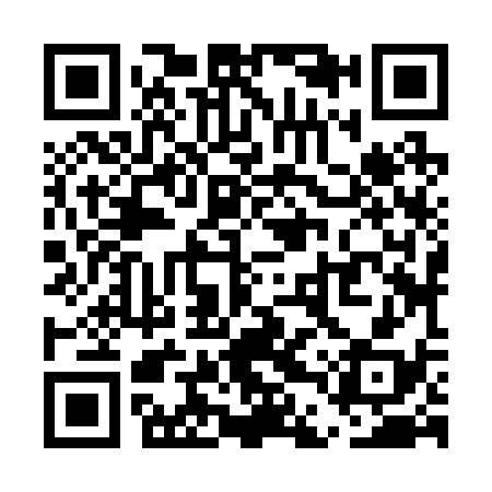 QR code for UDZ238