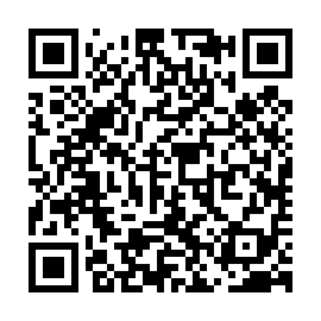 QR code for UNR419