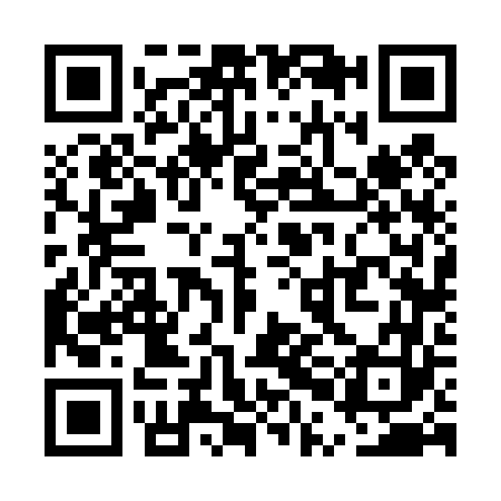 QR code for UPF463