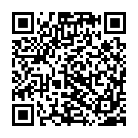 QR code for UPZ317