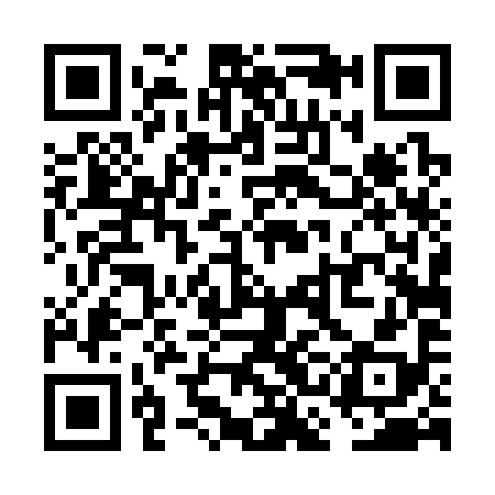 QR code for VCD398