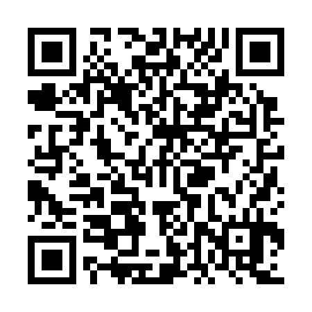 QR code for VDZ334