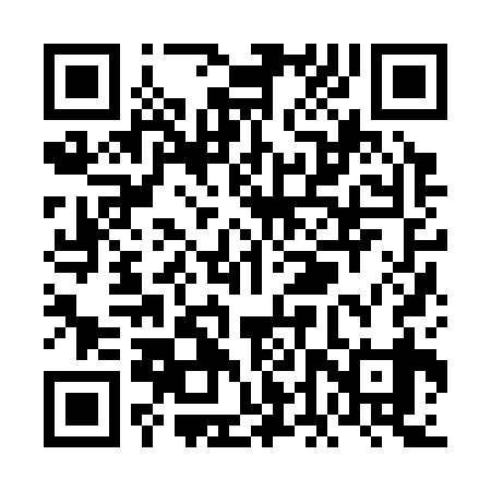 QR code for VDZ339