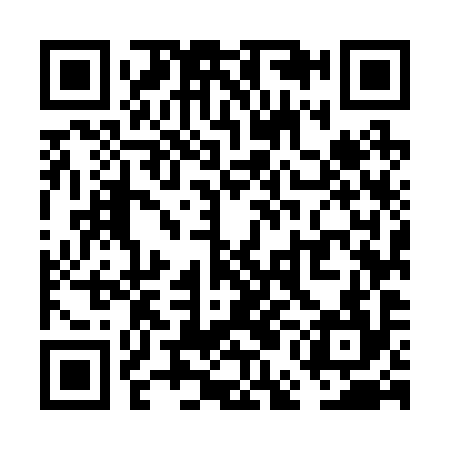QR code for VEM294