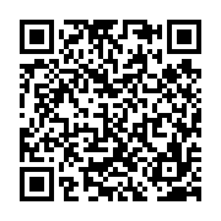 QR code for VEM616