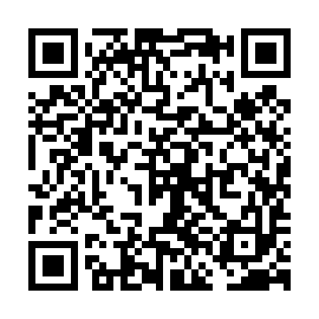 QR code for VFI493