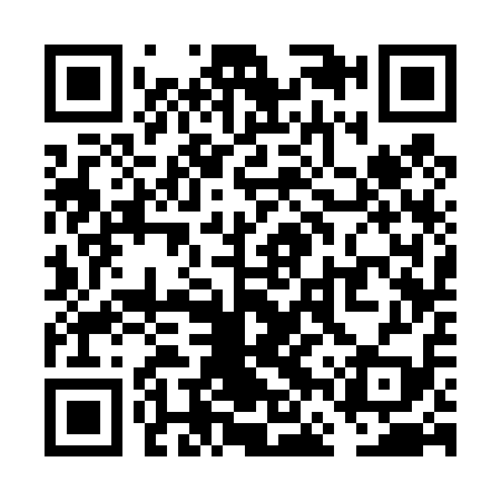 QR code for VFS419