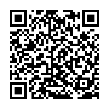 QR code for VFS919