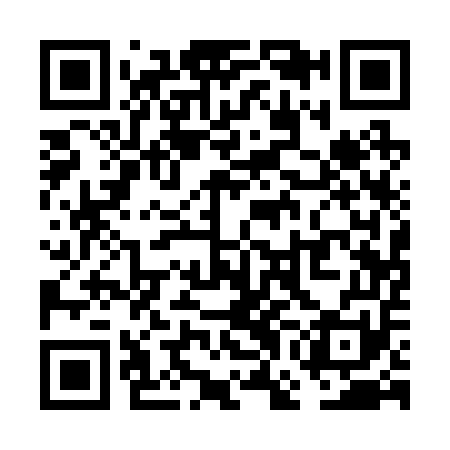 QR code for VGA251