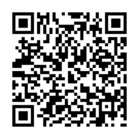 QR code for VGD319