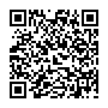 QR code for VGL313