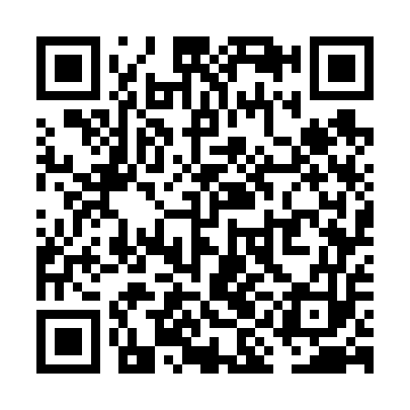 QR code for VIG653